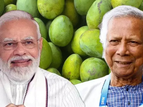 बाङ्गलादेशः प्रधानमंत्री मोदी इत्यस्मै १००० किलो आम्रं प्रेषितवान्-युनुस आम्र कूटनीतिं निर्वाहितवान्